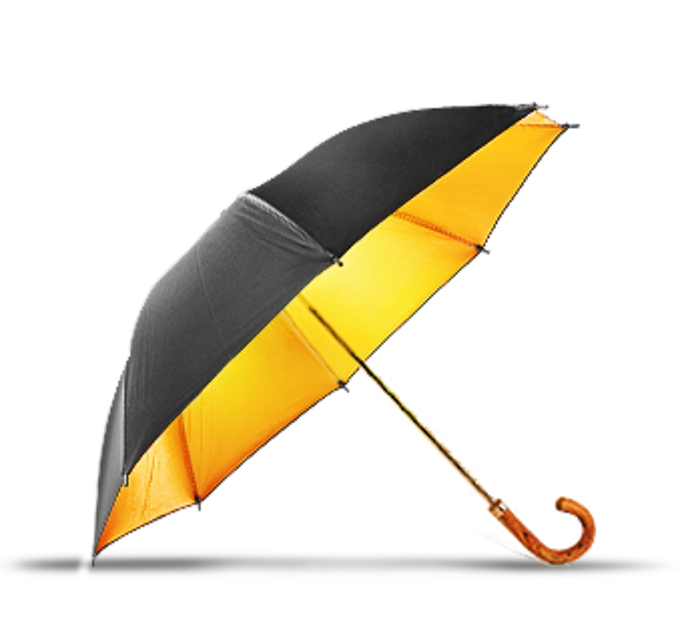 Umbrella - illustration promoting travel insurance.
